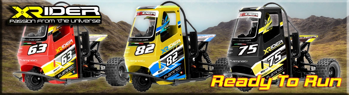 X-RIDER FLAMINGO RTR